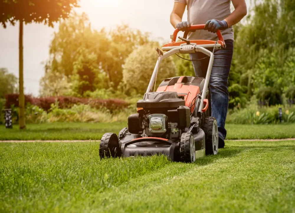 Entretien de jardin près de Bazas